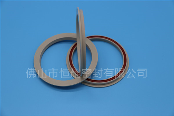 食品機(jī)械密封件 (29)