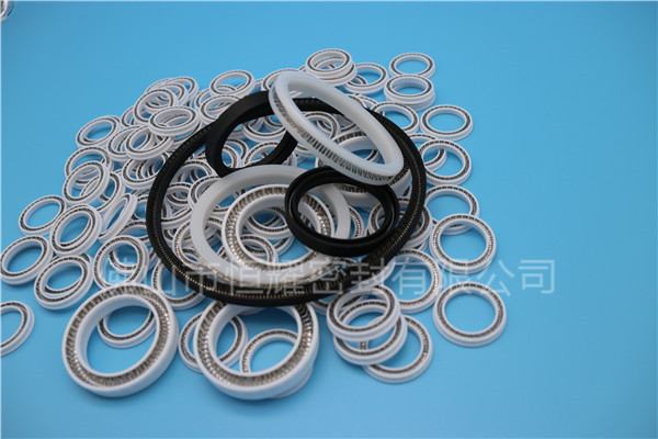 HOB、HVB孔用泛塞封 (13)