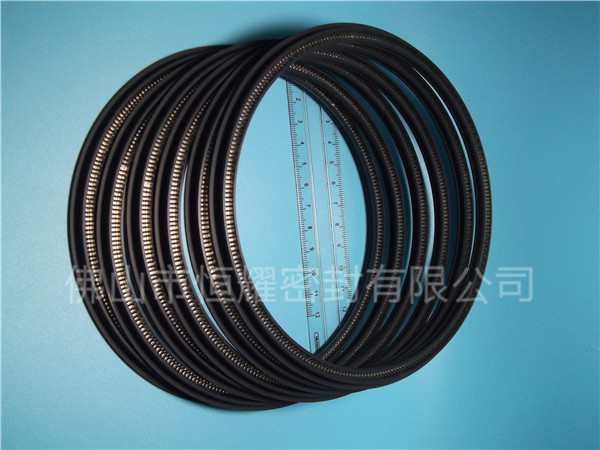 HOD、HVD旋轉(zhuǎn)泛塞封 (11)