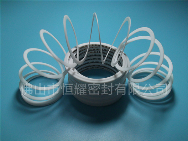 HVF、HVG端面內(nèi)、外向泛塞封 (7)