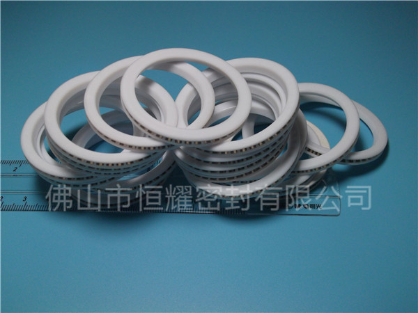 HVF、HVG端面內(nèi)、外向泛塞封 (8)