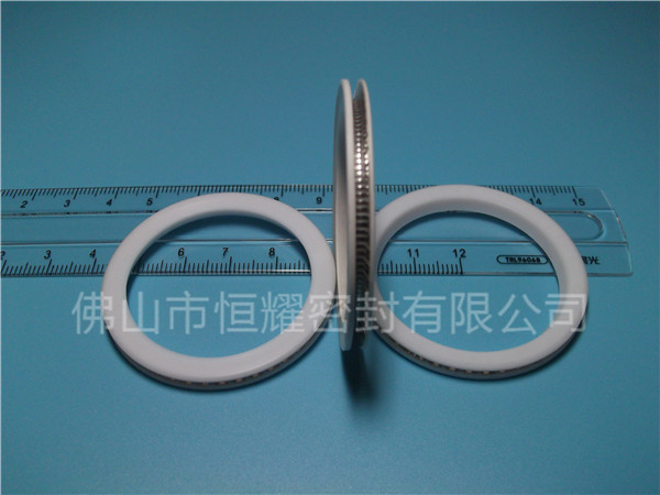 HVF、HVG端面內(nèi)、外向泛塞封 (10)