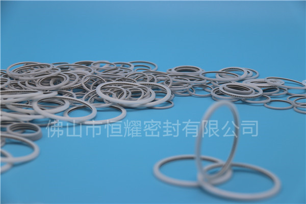 HVF、HVG端面內(nèi)、外向泛塞封 (23)