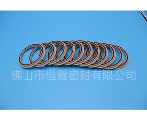 食品機(jī)械密封件 (21)