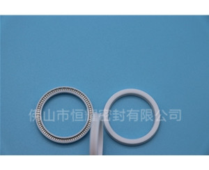 HOA、HVA軸用泛塞封 (16)