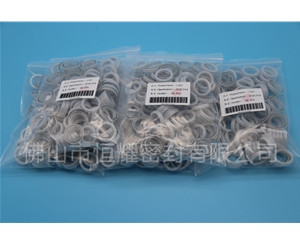 HOB、HVB孔用泛塞封 (16)