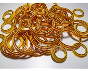 HOD、HVD旋轉(zhuǎn)泛塞封 (4)