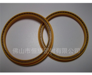 HOD、HVD旋轉(zhuǎn)泛塞封 (6)