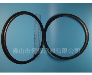 HOD、HVD旋轉(zhuǎn)泛塞封 (13)