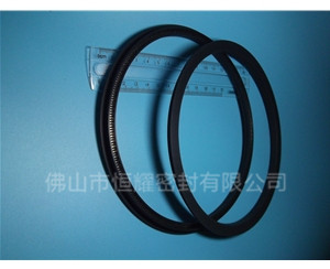 HOD、HVD旋轉(zhuǎn)泛塞封 (15)