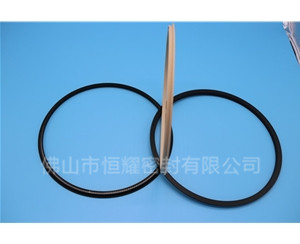 HOD、HVD旋轉(zhuǎn)泛塞封 (18)