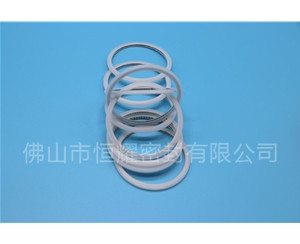 HVF、HVG端面內、外向泛塞封 (15)