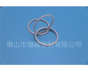 HVF、HVG端面內、外向泛塞封 (21)