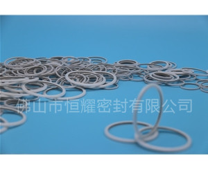 HVF、HVG端面內、外向泛塞封 (23)